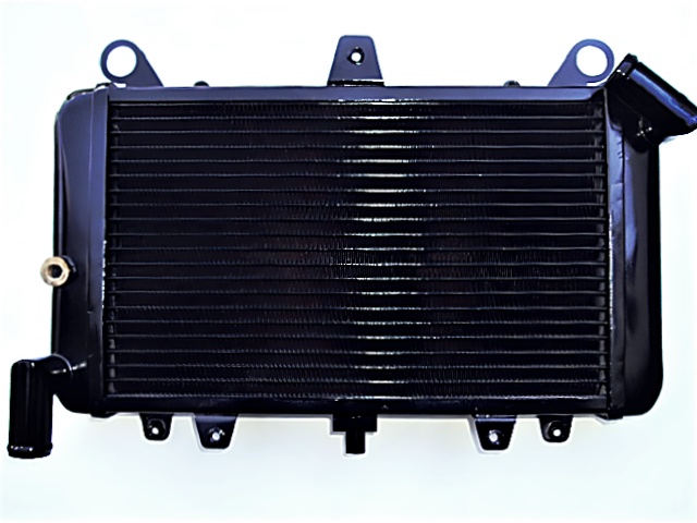 カワサキ GPZ900R 305 Type-III 銅・真鍮製 フルカウル対応